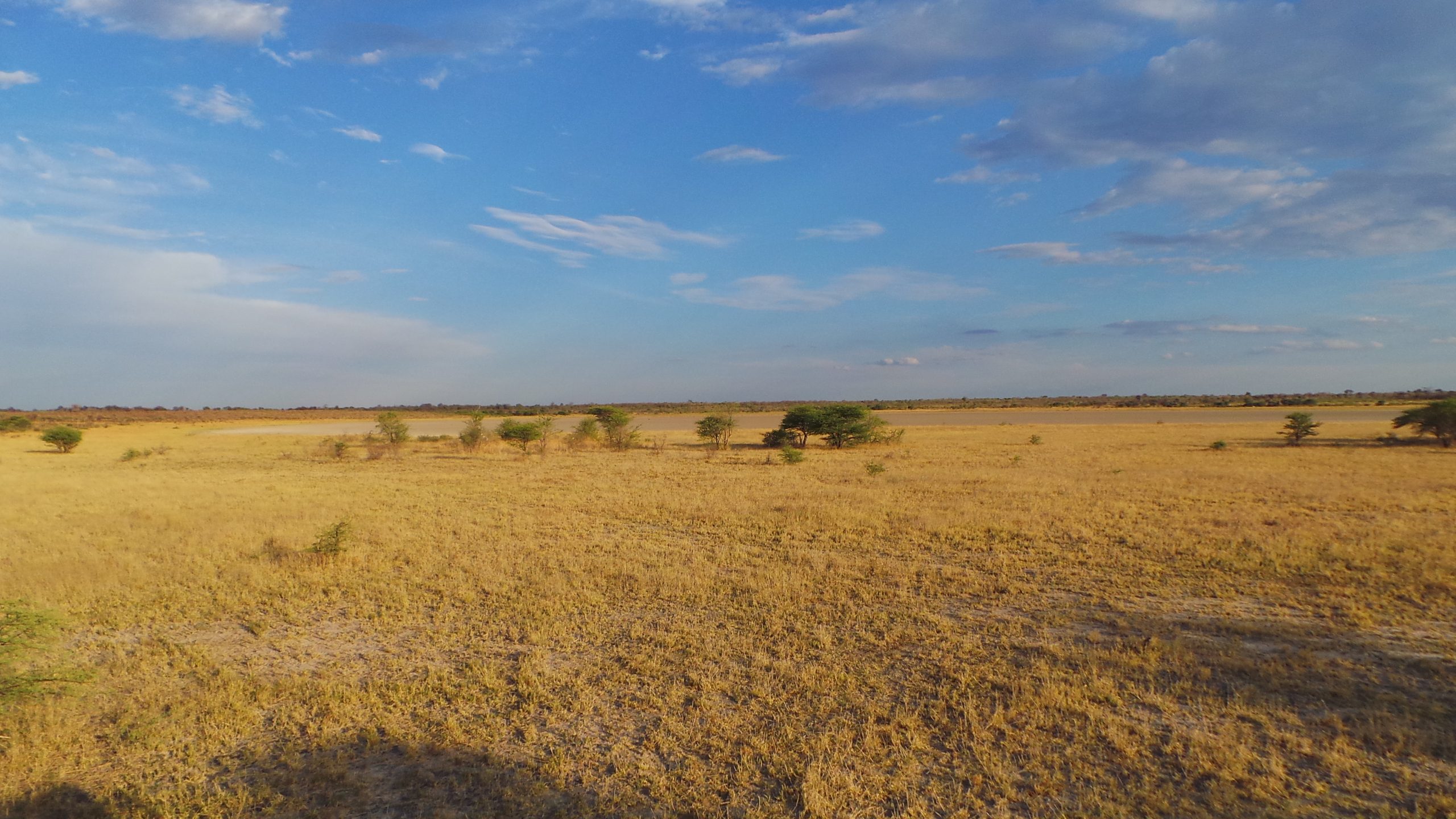 Ergebnisoffenheit_Jäger-Sammler Namibia (© Louis Liebenberg)